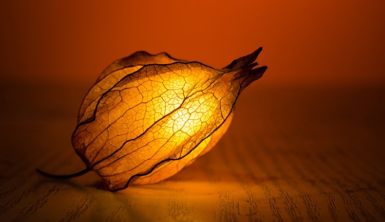 首页- 人生就是博中国官方网站