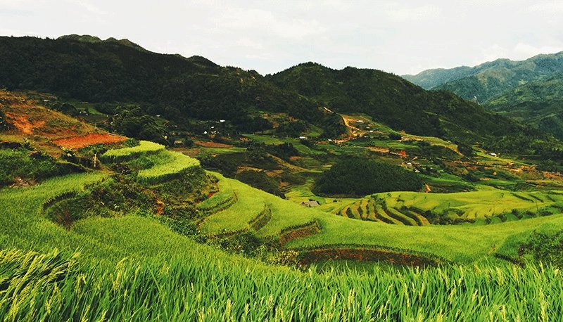 首页- 人生就是博中国官方网站