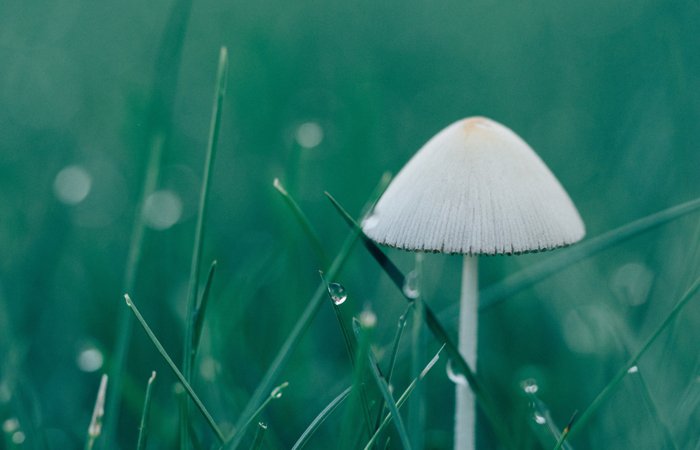 首页- 人生就是博中国官方网站